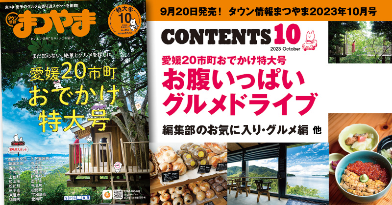 タウン情報まつやま