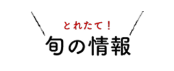 旬の情報