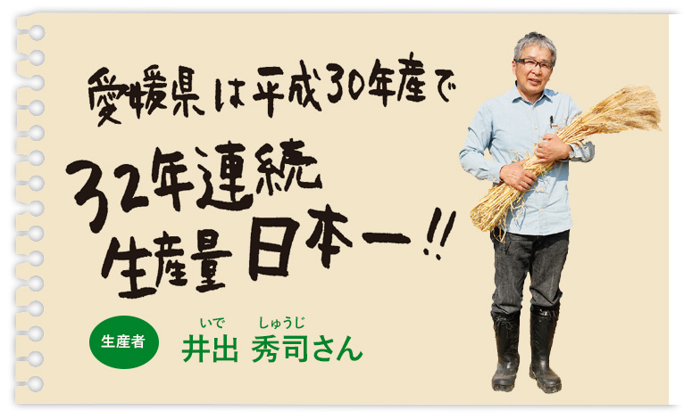 愛媛県は平成30年産で32年連続生産量日本一!!