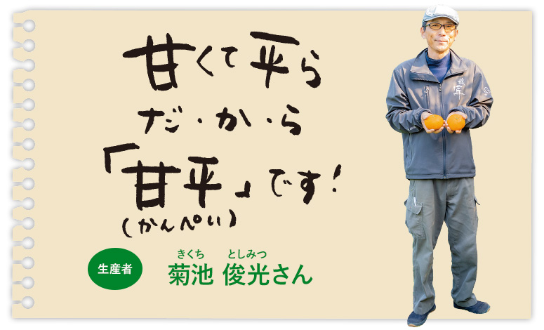 甘くて平らだ・か・ら「甘平（かんぺい）」です！