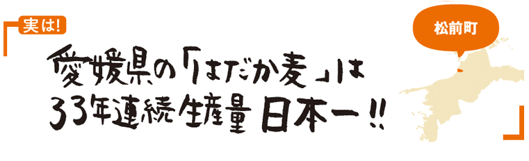 実は愛媛県の「はだか麦」は33年連続生産量日本一!!