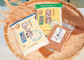 はだか麦の加工品3点セット