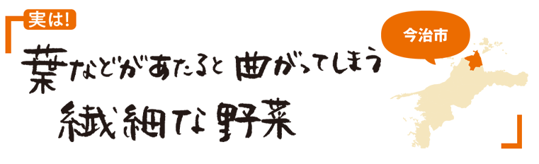 みずみずしく爽やかな風味で、食欲がない夏場にもぴったり。