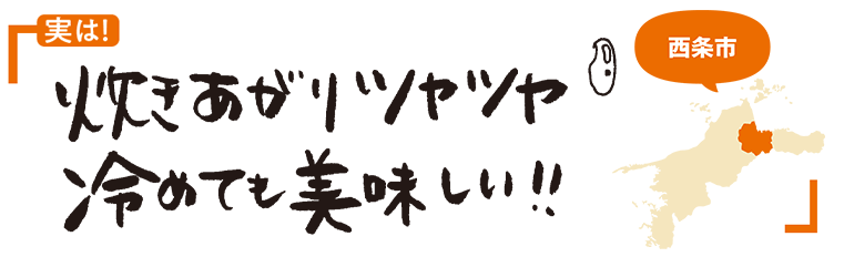 新米 ひめの凜 えひめの食 旬 取材 Ja全農えひめ えひめ愛フード推進機構presents