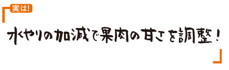 紅まどんな画像