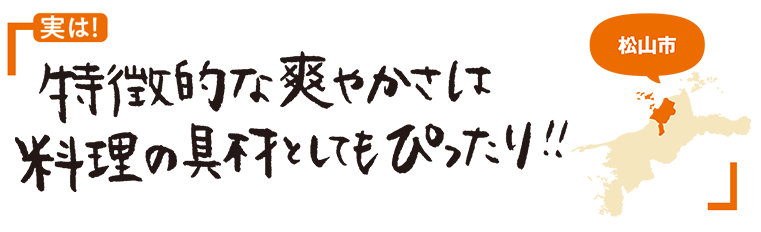 いよかん（宮内伊予柑）画像