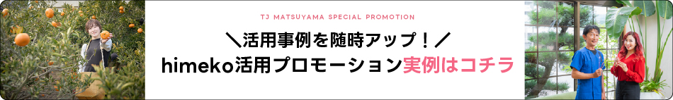 himeko活用プロモーション実績はコチラ