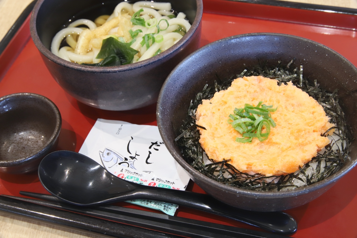 小盛さけとろ丼・小うどんセット or 小盛かつ丼・小うどんセット