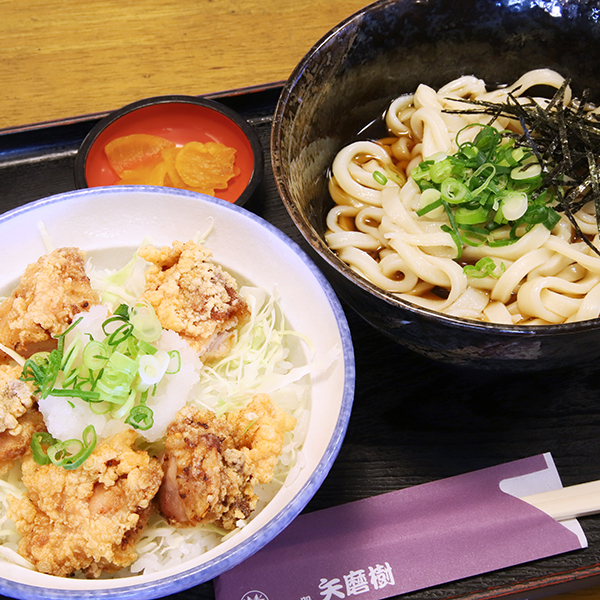 からあげみぞれ丼+ぶっかけうどん
