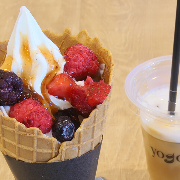 ヨゴリーノパフェ(レギュラーサイズ)+ COSTAコーヒーセット