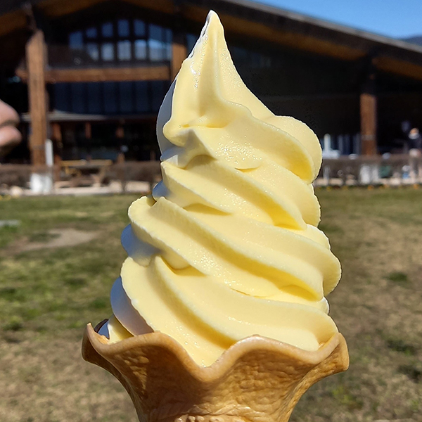 対象のソフトクリーム50円引き