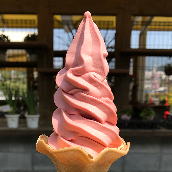 対象のソフトクリーム50円引き