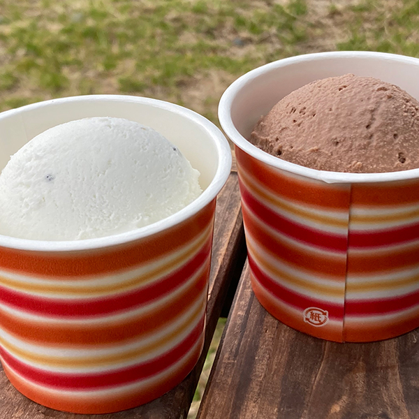 しらすアイス（シングル）50円引き