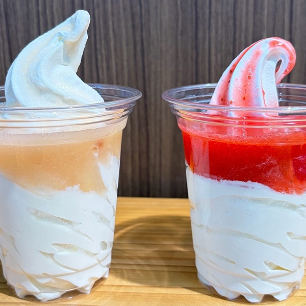 対象のサンデー100円引き