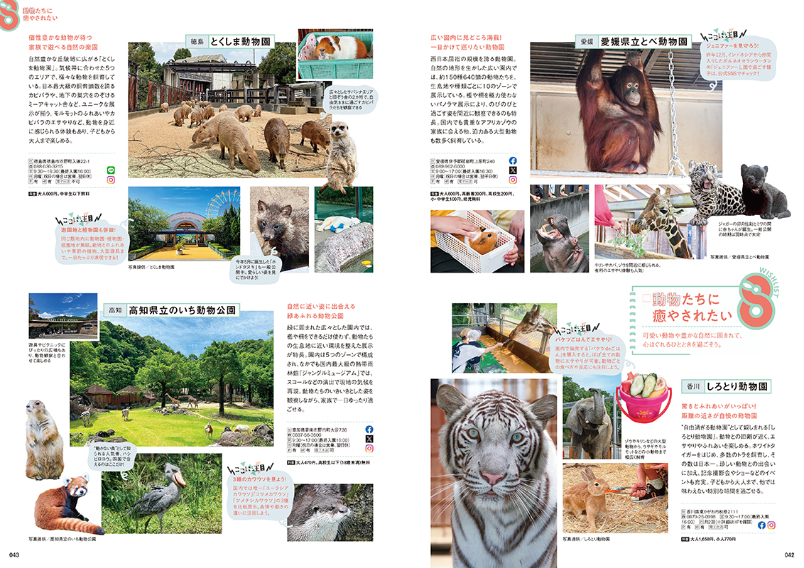 誌面サンプル