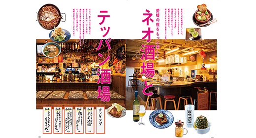 愛媛の居酒屋特集！ネオ酒場とテッパン酒場